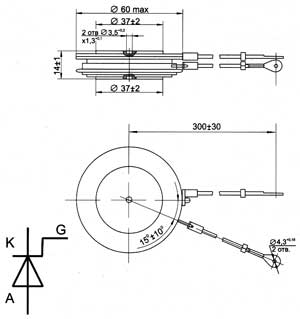 �243-800